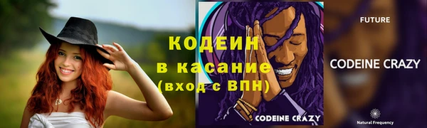 ПСИЛОЦИБИНОВЫЕ ГРИБЫ Верея