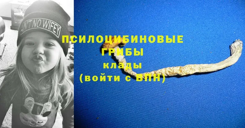 Псилоцибиновые грибы Magic Shrooms  Бирюч 